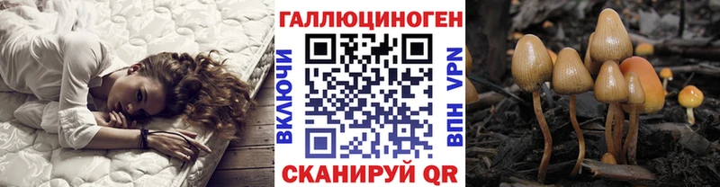 Псилоцибиновые грибы прущие грибы  наркотики  Гусев 