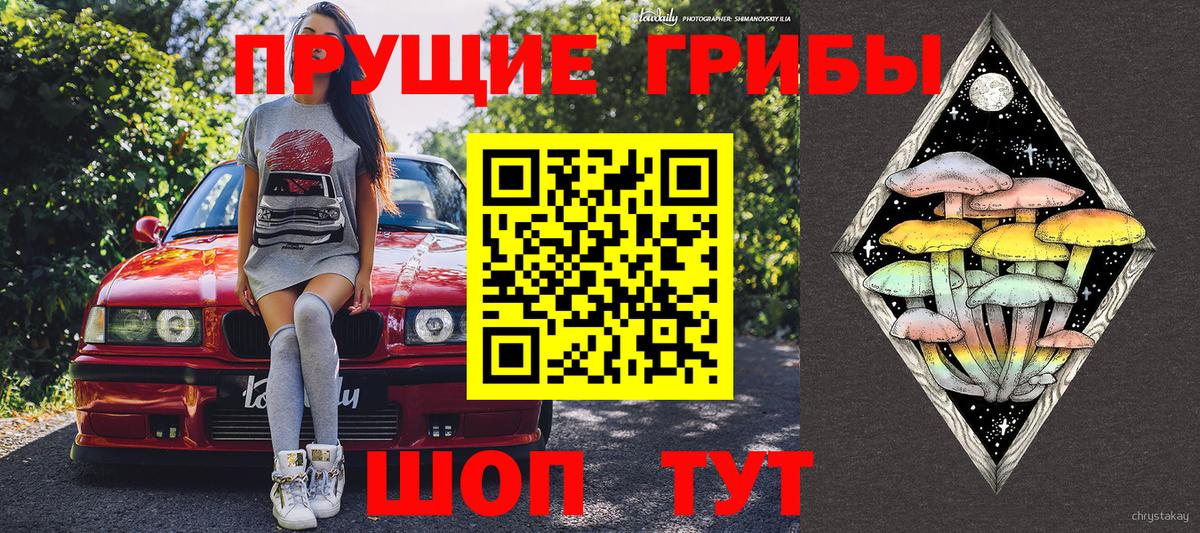 Гусев  Псилоцибиновые грибы прущие грибы  Вход с VPN 