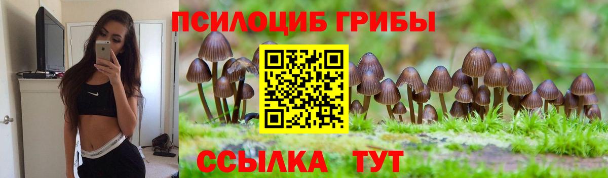 купить наркотики цена  Гусев  Псилоцибиновые грибы мухоморы  Галлюциногенные грибы Cubensis 